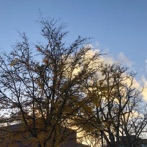 Meet your Posher, Jazmin